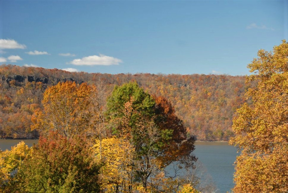 a blue lake with golden and orange foliage on the shores in the foreground and background