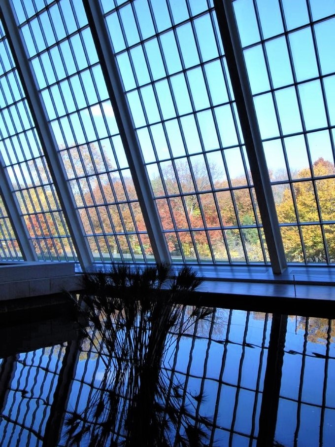 a wall of rectangular glass windows against a blue sky. In the foreground, an arrangement of reeds sits in the centre of a reflecting pool