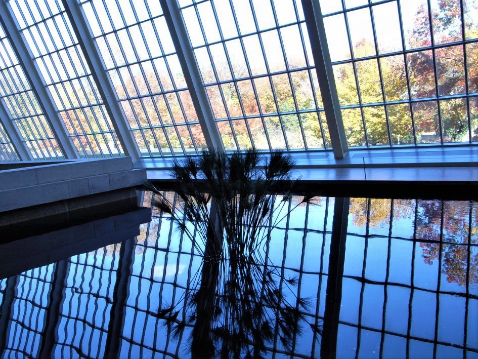 a wall of rectangular glass windows against a blue sky. In the foreground, an arrangement of reeds sits in the centre of a reflecting pool