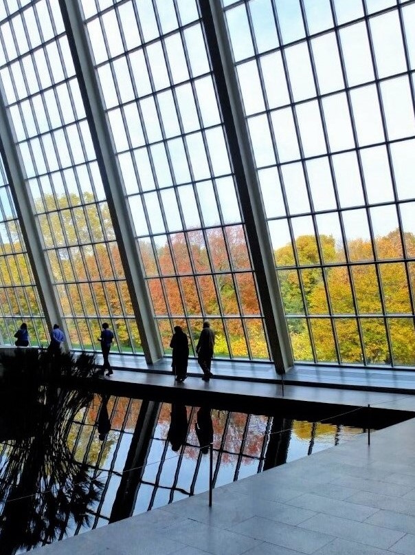a wall of rectangular glass windows against a blue sky. In the foreground, an arrangement of reeds sits in the centre of a reflecting pool