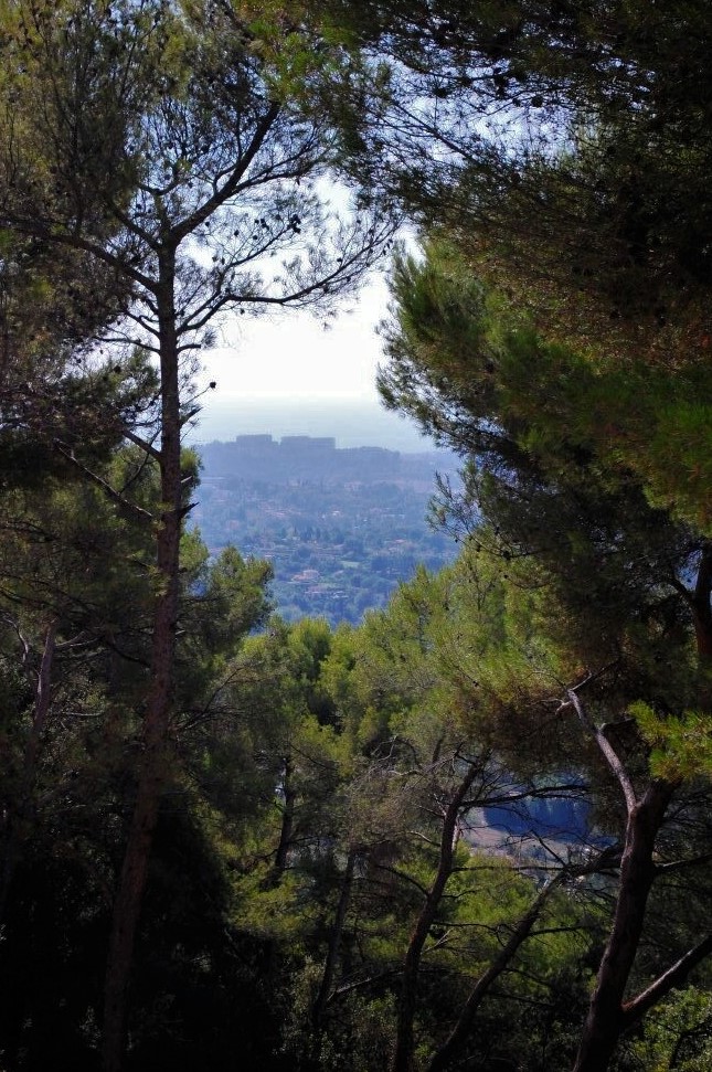 a view of the Saint-Paul de Vence monastery in the distance through a copse of trees