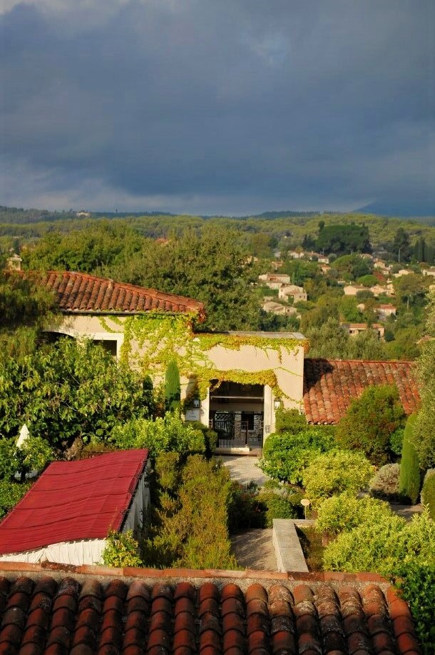 a Medieval courtyard filled with plants