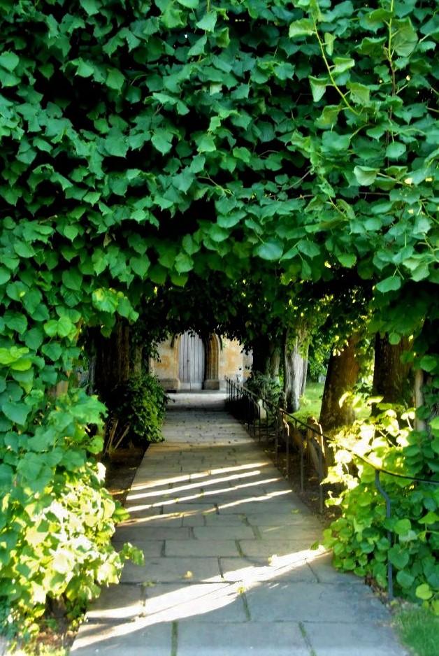 a narrow pathway through a tunnel with bright green ivy growing on either side and above, leading to a Medieval door