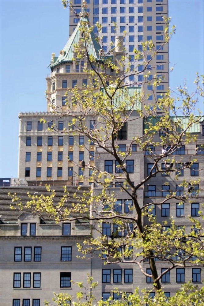 A distant skyscraper visible through boughs of bright green trees