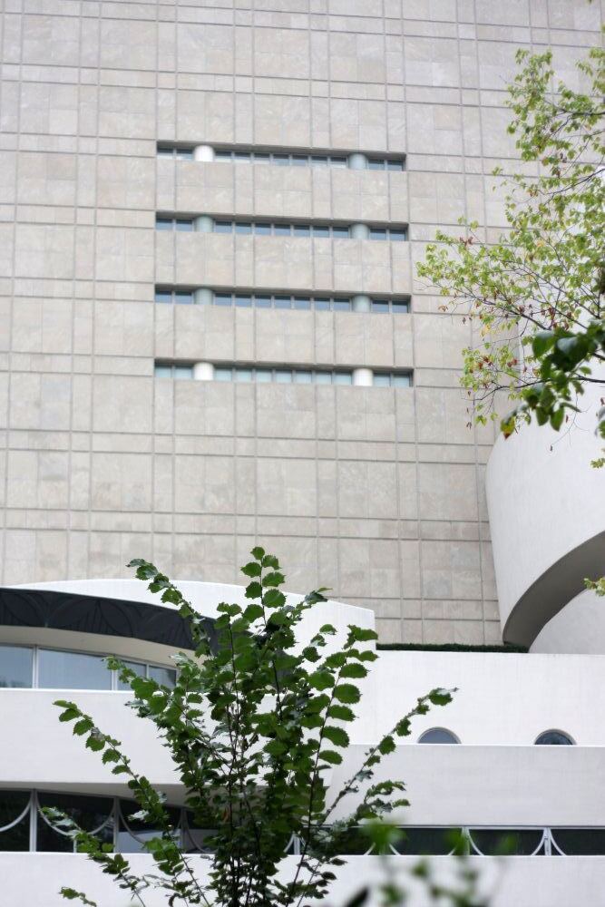 A tree-covered terrace on a modern building