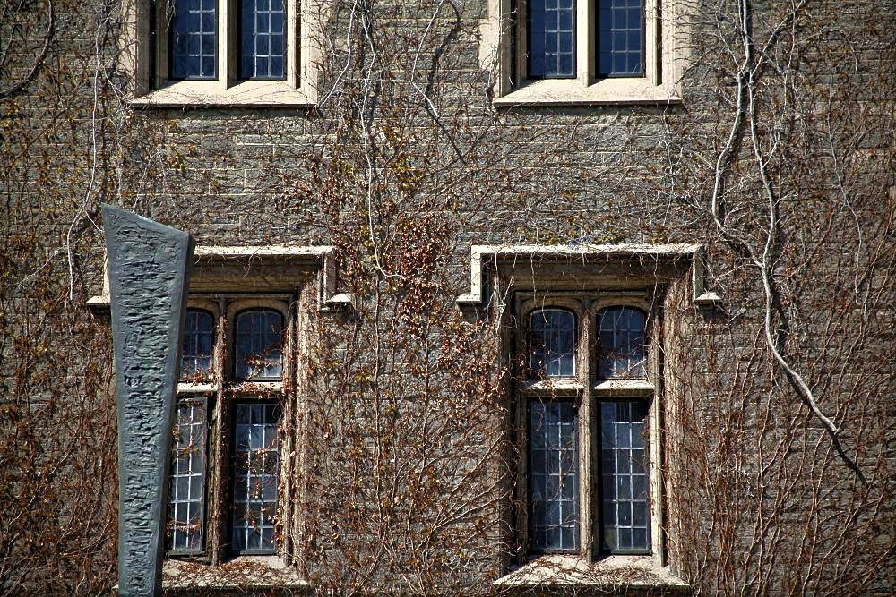 The wall of a brick house covered in dead branches of ivy that scale the surface and frame blocky, white-trimmed windows