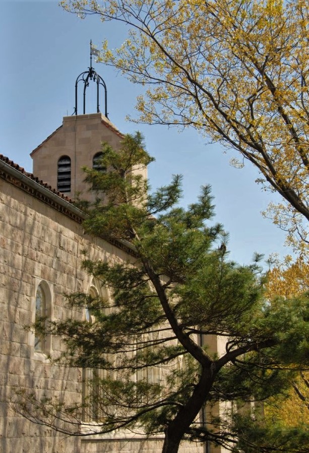 A tall stone bell tower framed by tree branches in the foreground