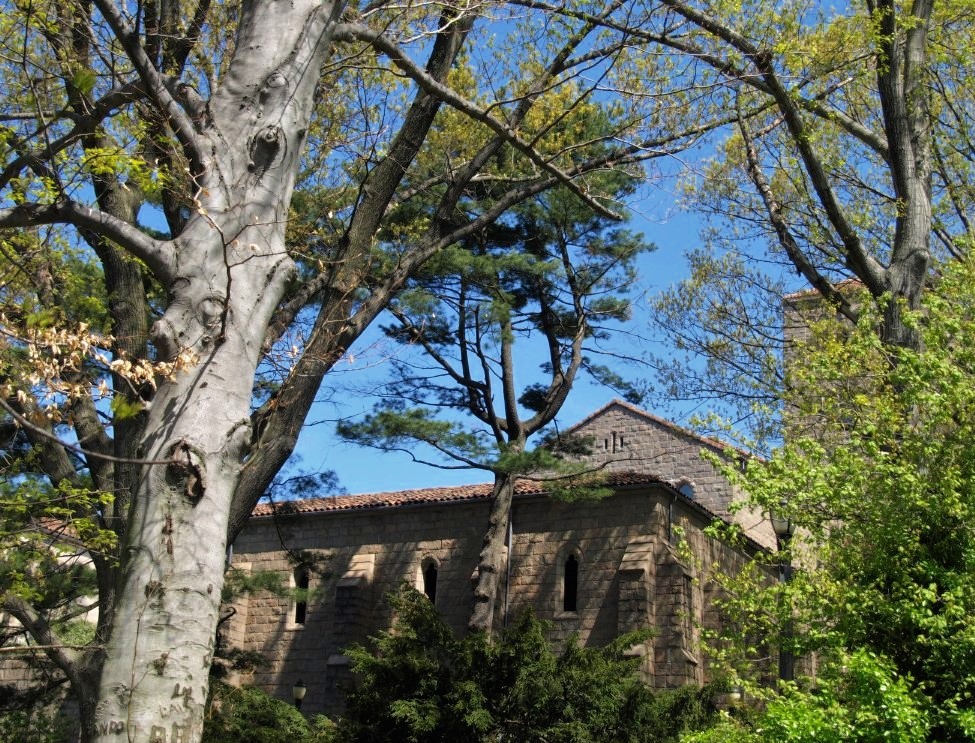 A stone bell tower framed by tree branches