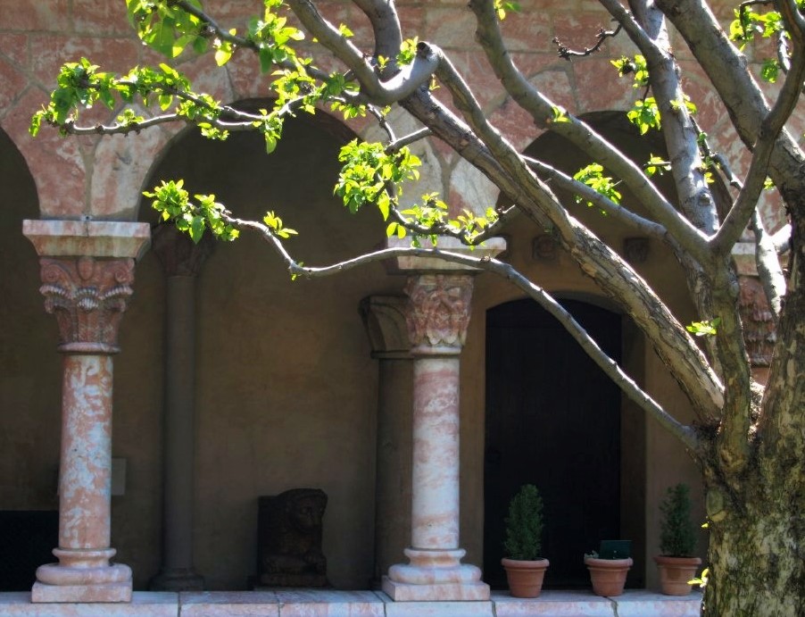 A photo of a courtyard garden framed by tree branches