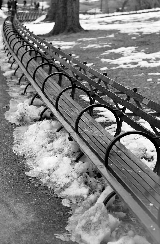 A row of benches in Central Park