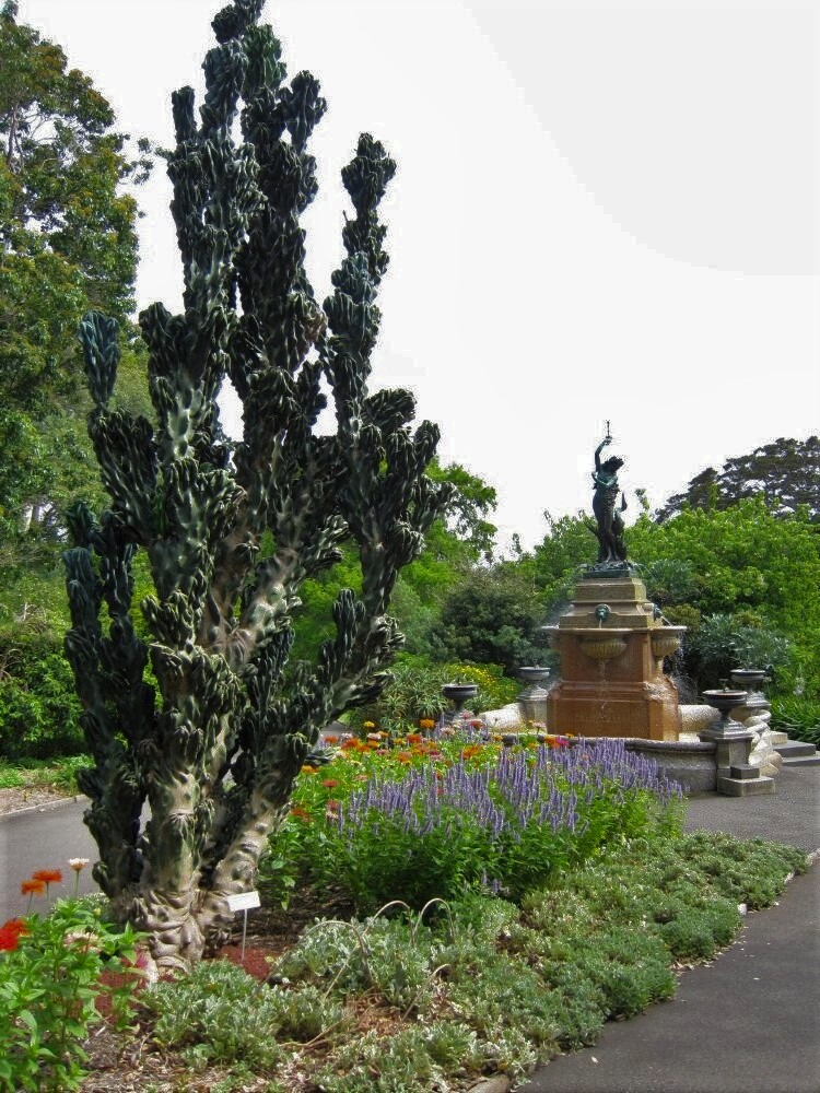 A botanical garden