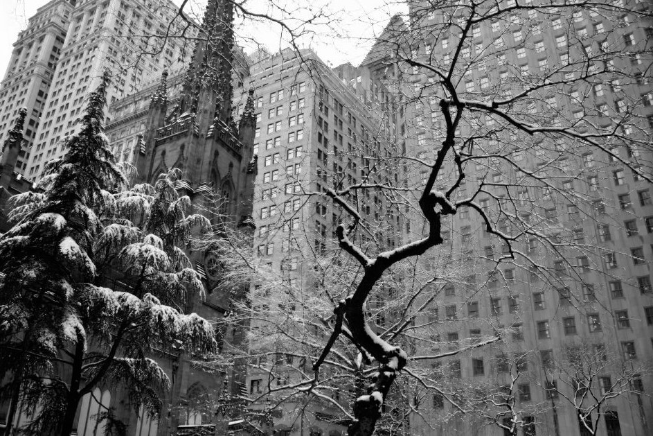 A black and white photo of the top of Trinity Church and snow-covered branches of nearby trees