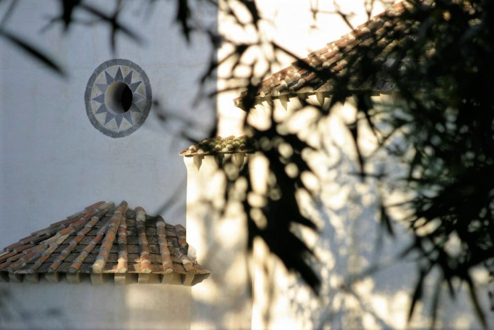 An abstract photo of a stone wall obscured by leaves in the foreground