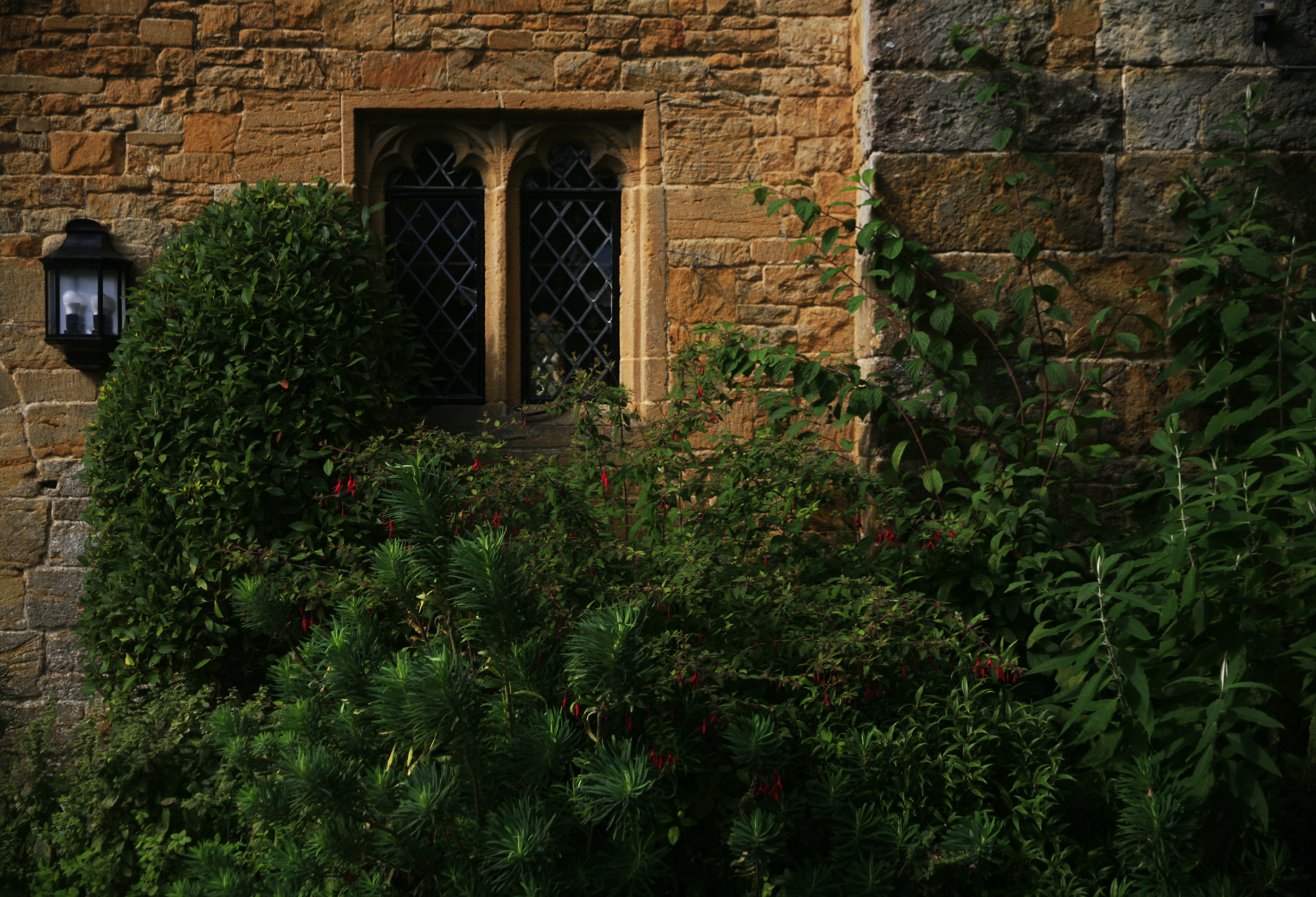 A wall of a stone cottage partially obscured by bushes