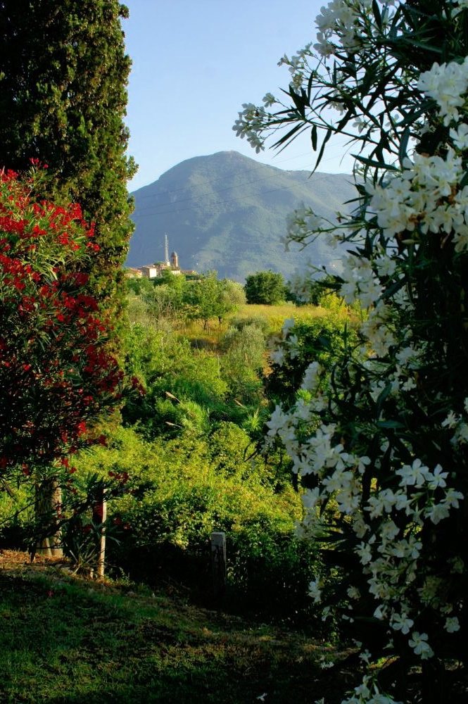 A hilltop villa viewed from a distance, framed by flowering trees in the foreground