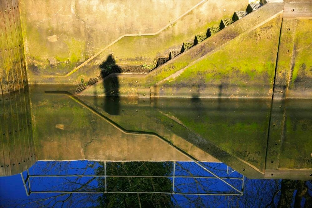 An algae-covered dock reflected in placid blue water