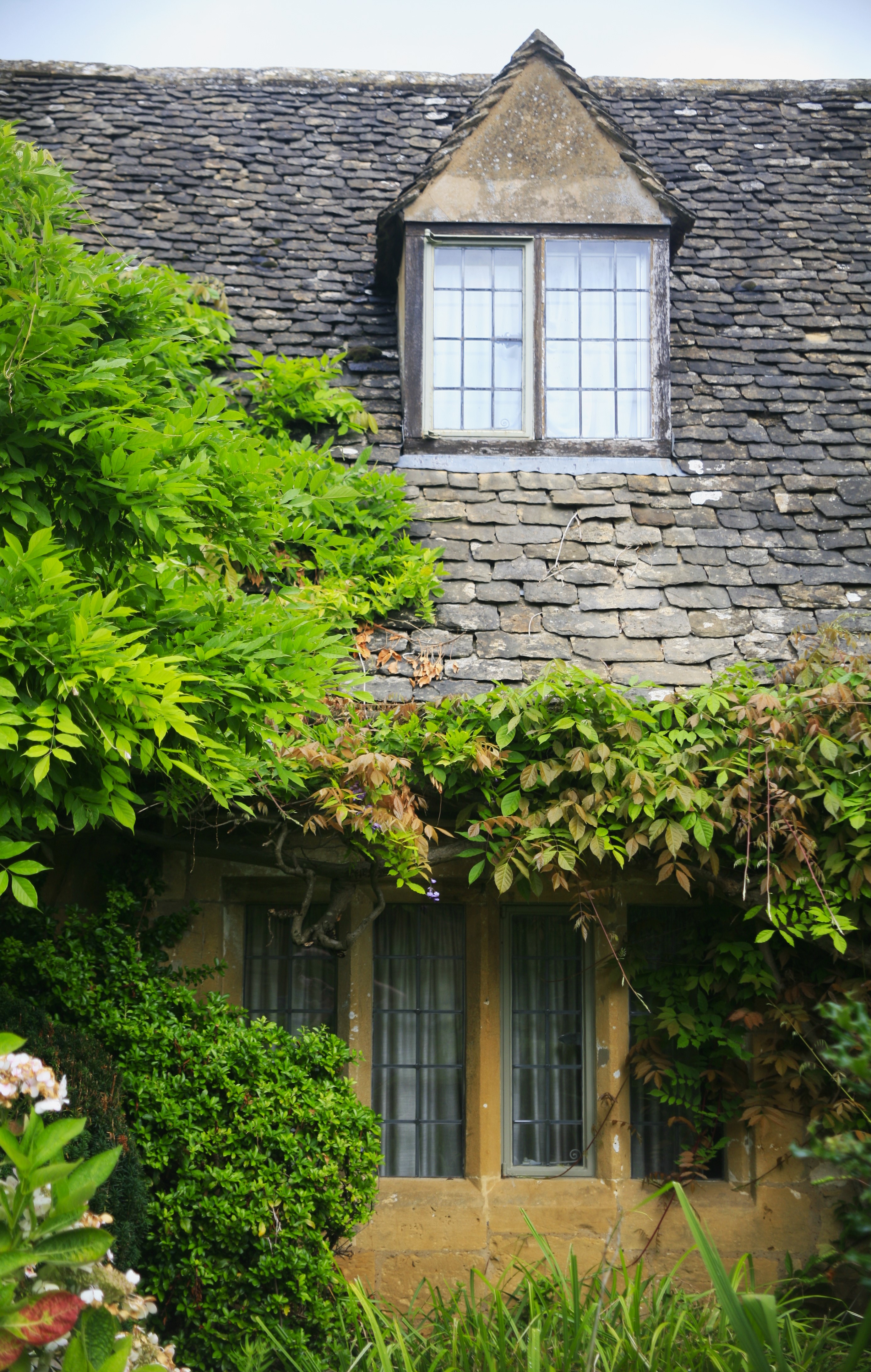 An old stone cottage surrounded by tall bushes and greenery