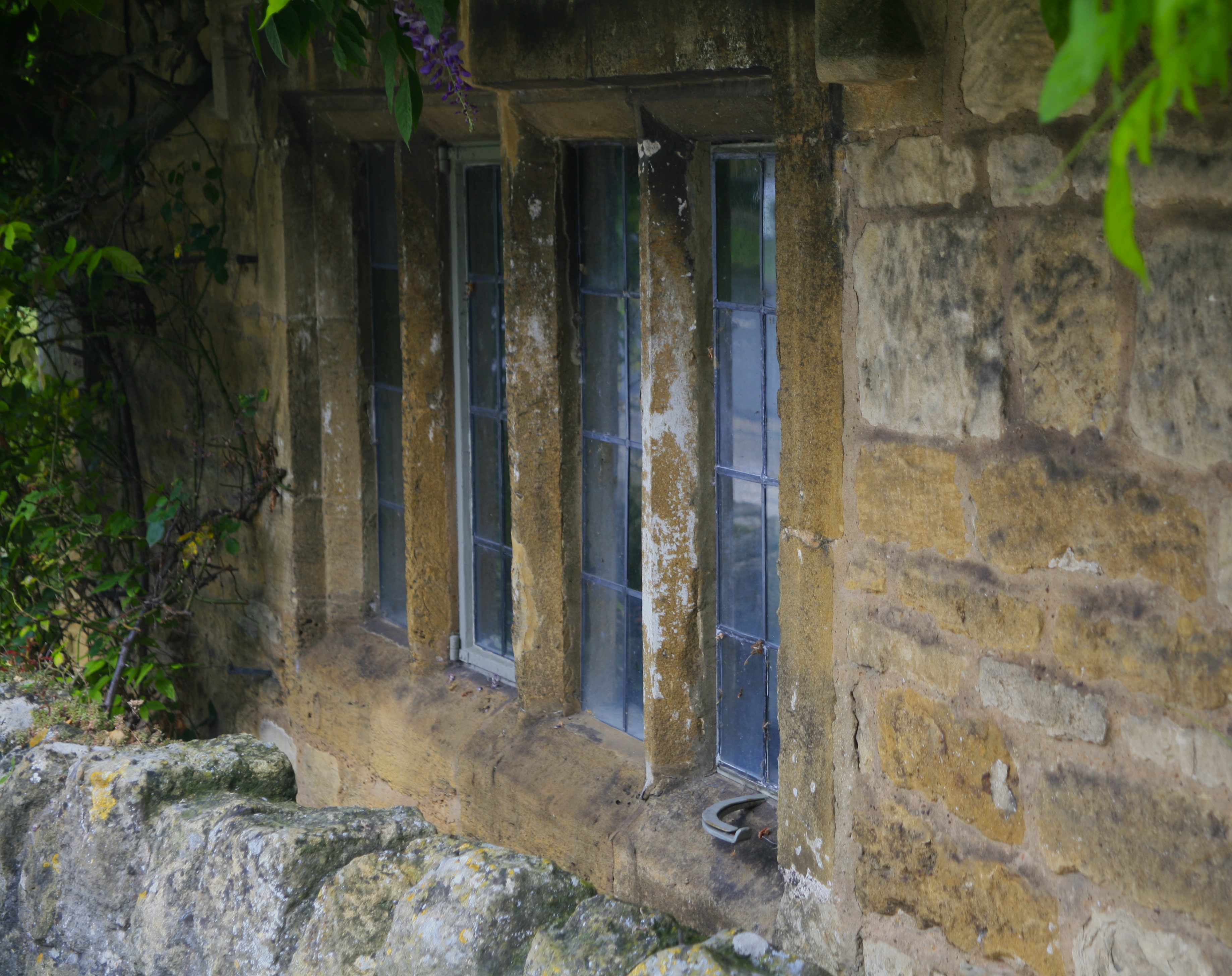 A row of windows in a stone wall framed with greenery, seen from a sharp angle