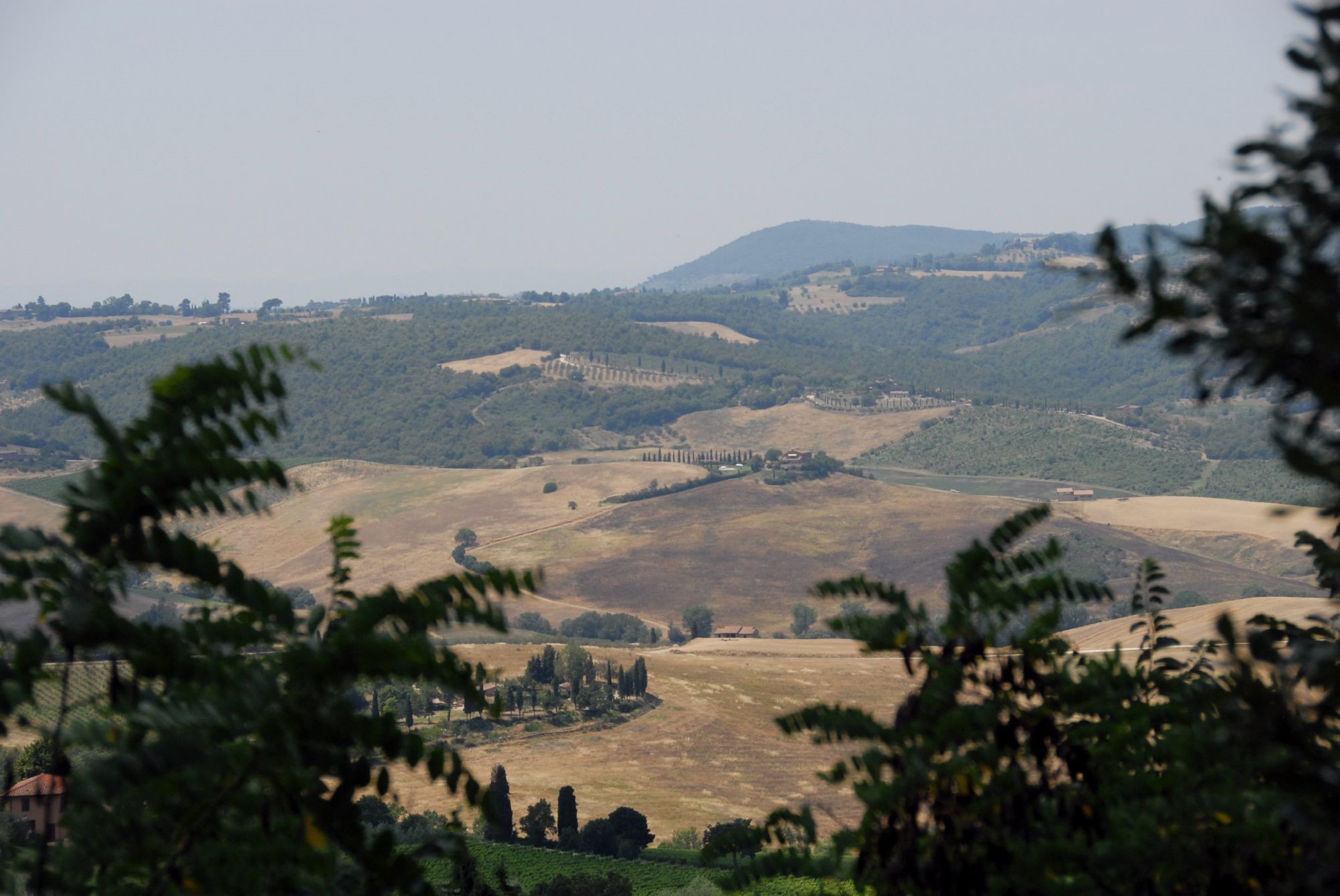 Rolling brown and green hills in the Italian countryside