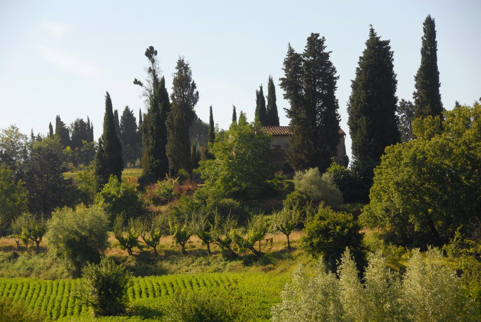 An Italian villa hidden amid cypress trees and other vegetation on a hill surrounded by fields