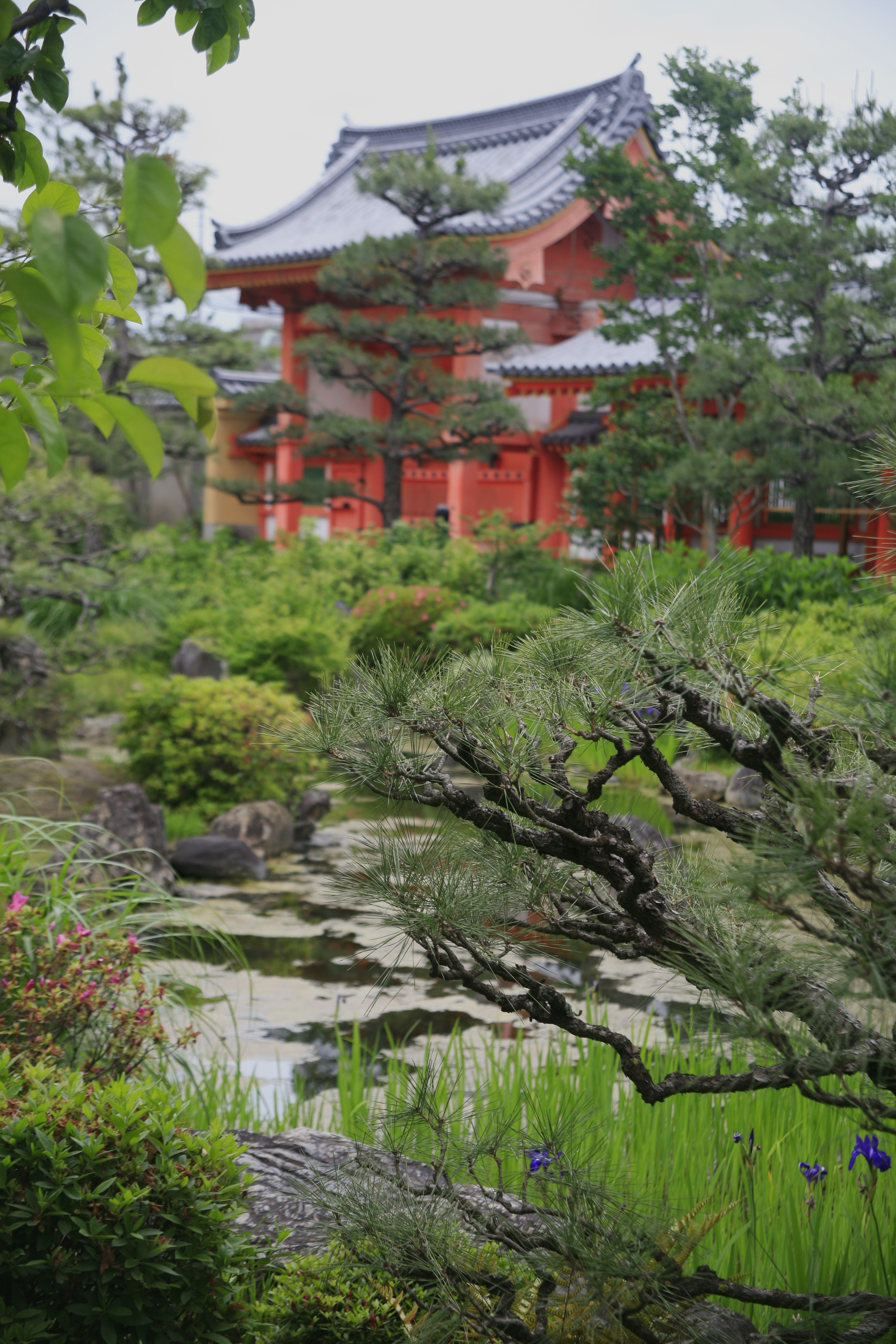 A garden in the foreground with a red pagoda visible in the background