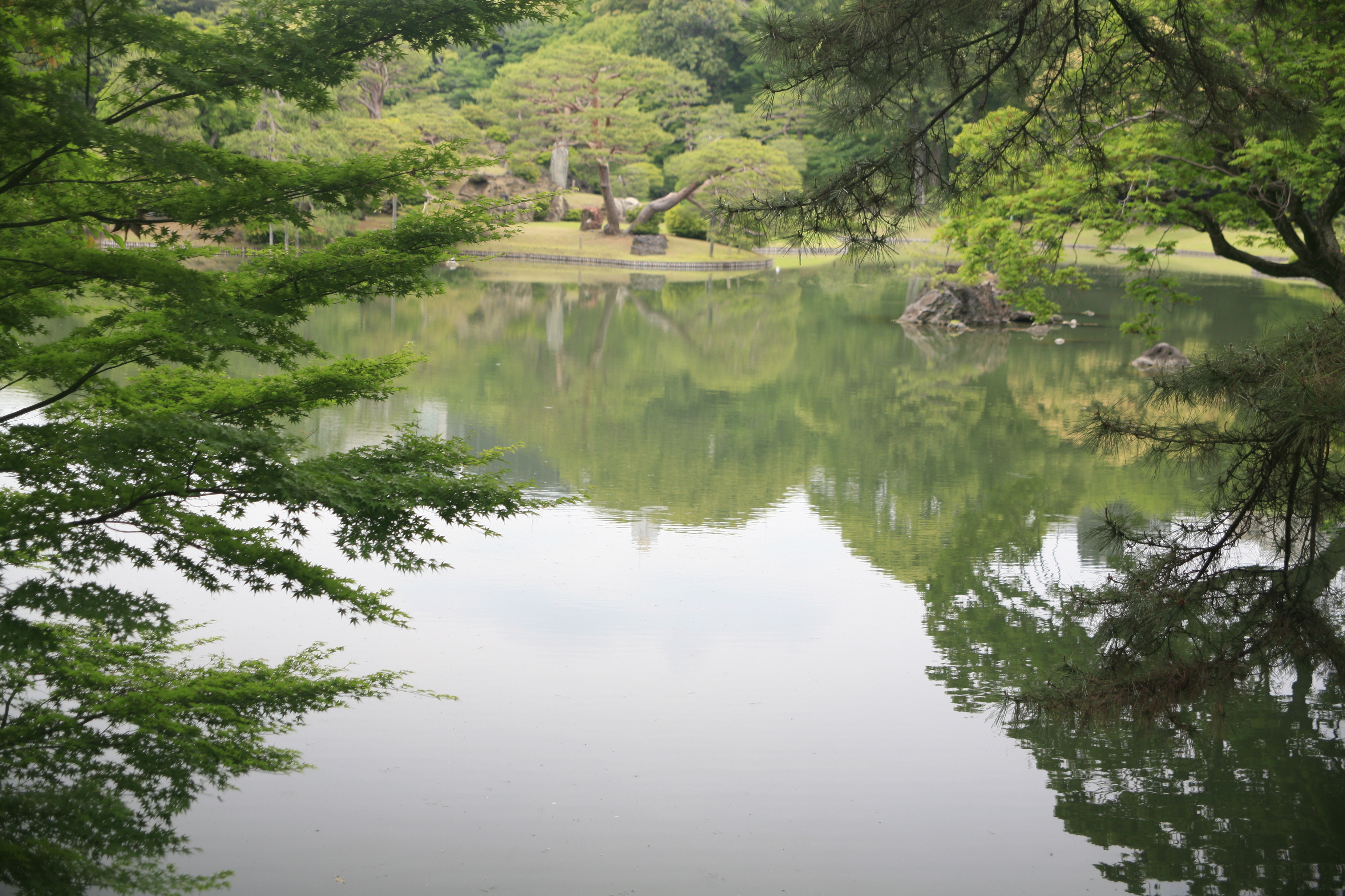 A pond in a verdant Japanese garden reflects the surrounding vegetation and sky