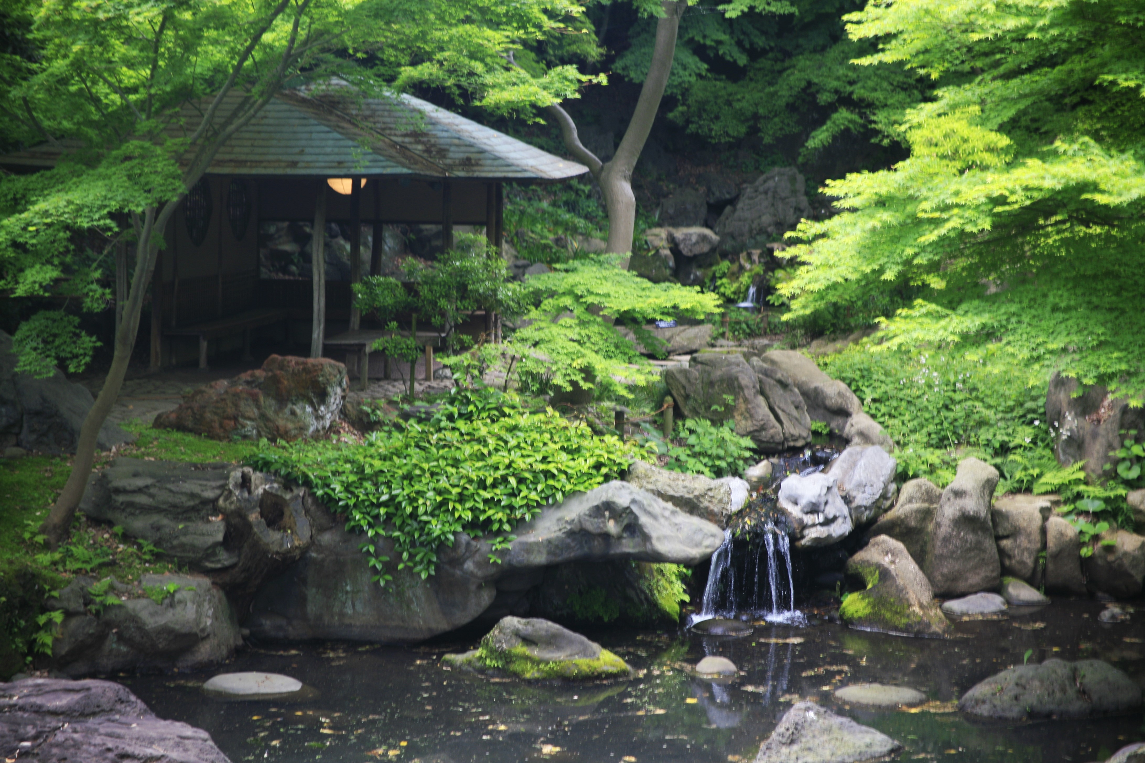 A pagoda sits at the edge of a pond near a small waterfall
