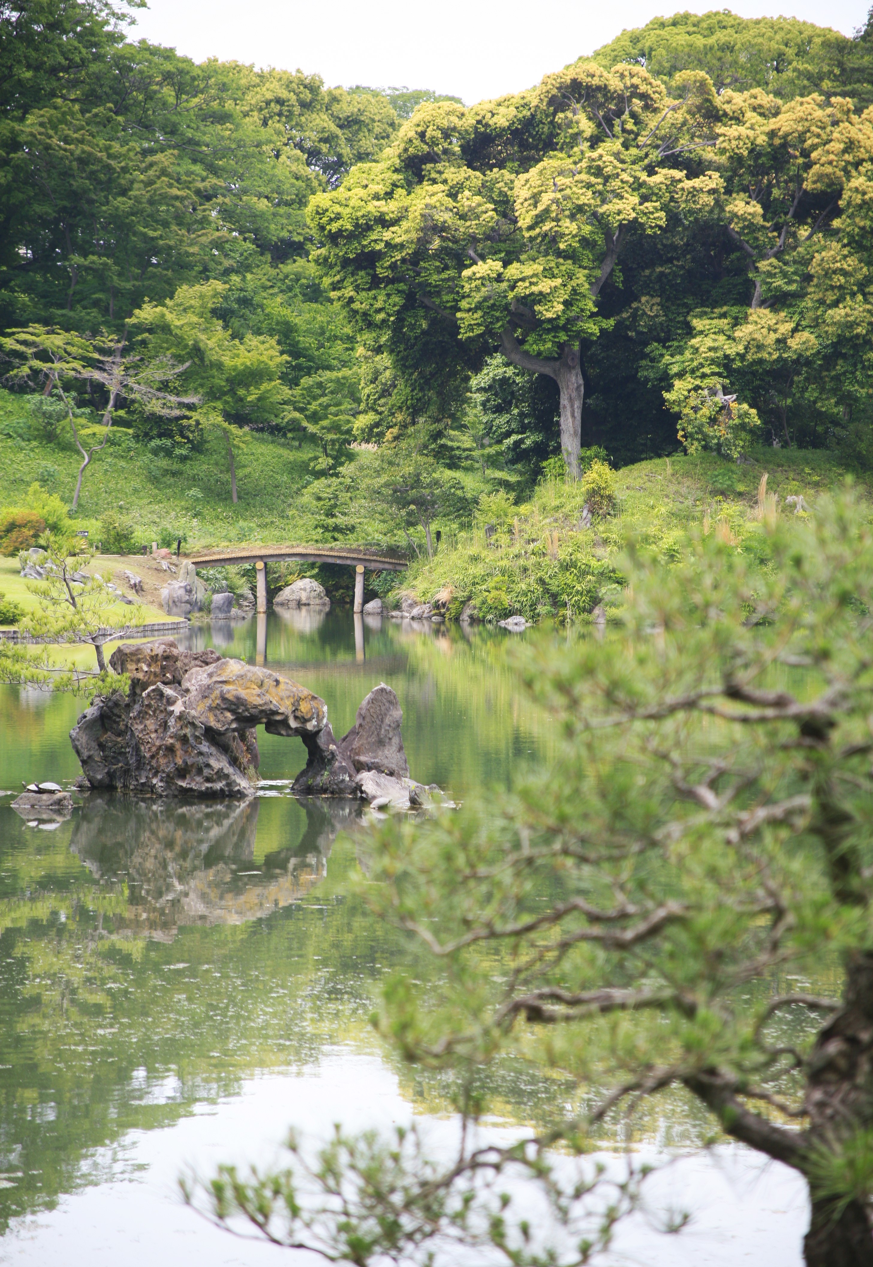 A stone bridge spans a pond in a Japanese garden surrounded by green vegetation
