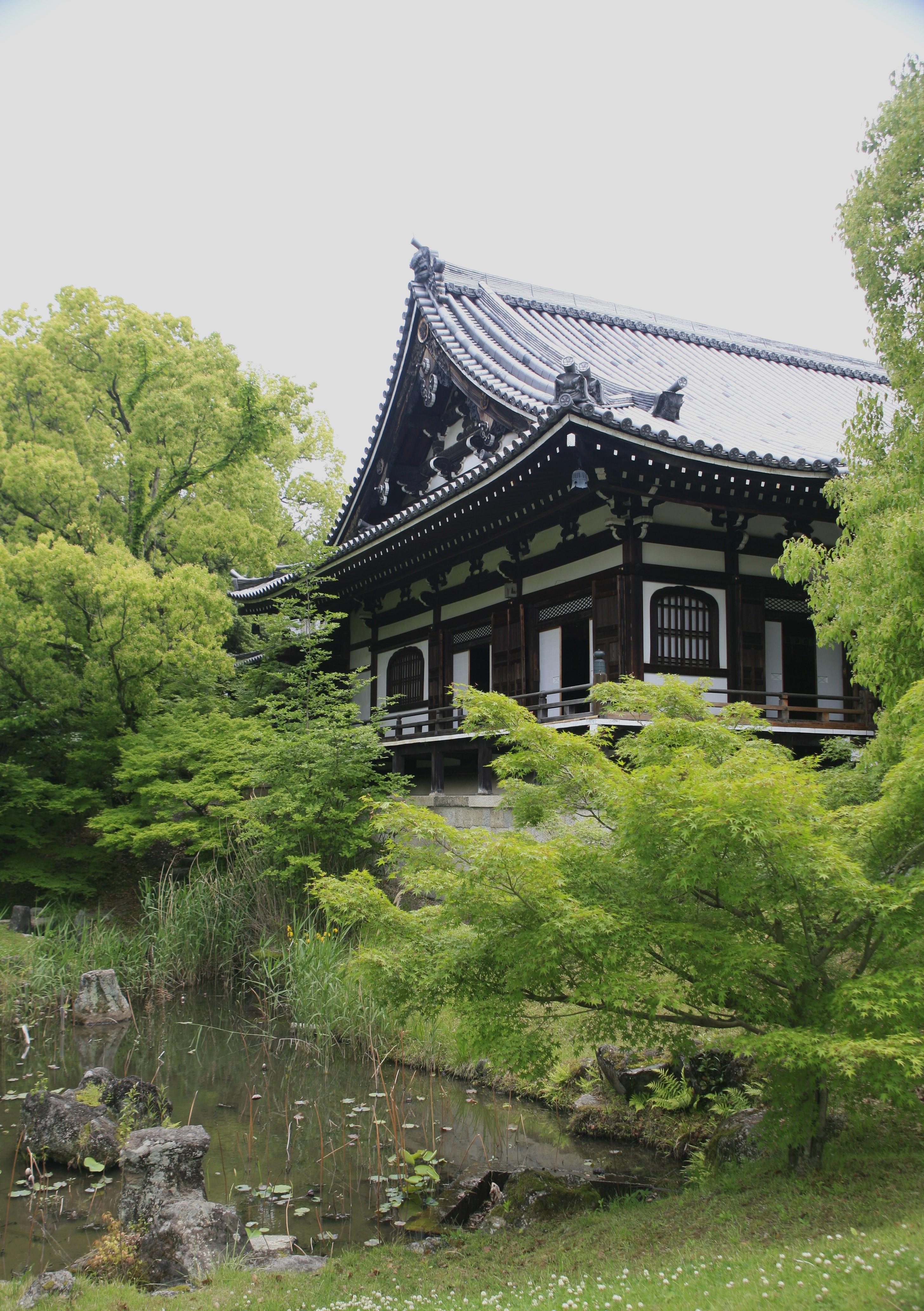 An outdoor view of the temple's sweeping roof overlooking part of a pond, surrounded by green vegetation